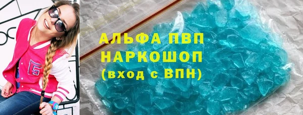 apvp Алзамай