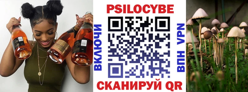 купить наркотик Гвардейск Галлюциногенные грибы Cubensis